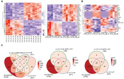 Sex-specific regulation of the cortical transcriptome in response to sleep deprivation